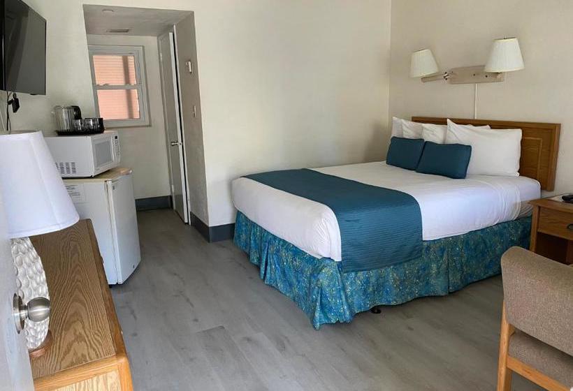 فندق على الطريق Beach Shell Inn