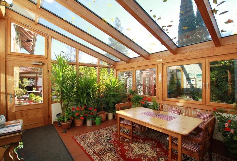 호스텔 Gästehaus Pfefferle Hotel Garni Und Ferienwohnungen