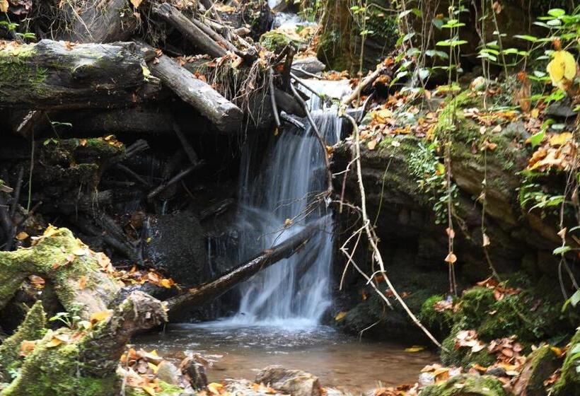 هاستل Lieperts Cafè Dinners