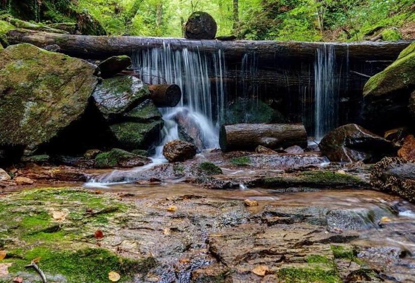 هاستل Lieperts Cafè Dinners