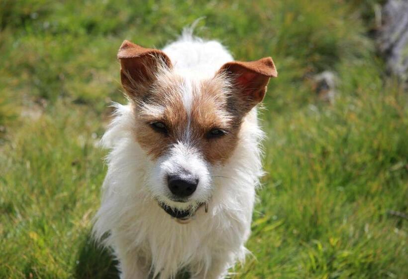 مبيت وإفطار Chambre D Hôte Chez Antoinette Et Charles