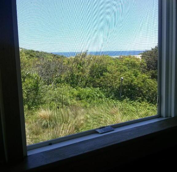Hi  Truro Hostel