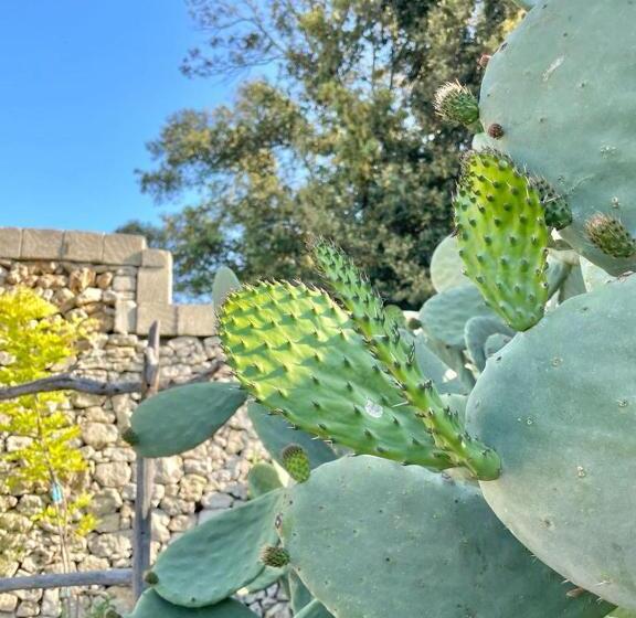 پانسیون Masseria Spartivento