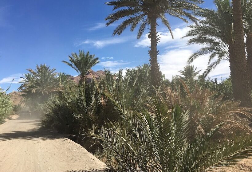 پانسیون Camp Adounia