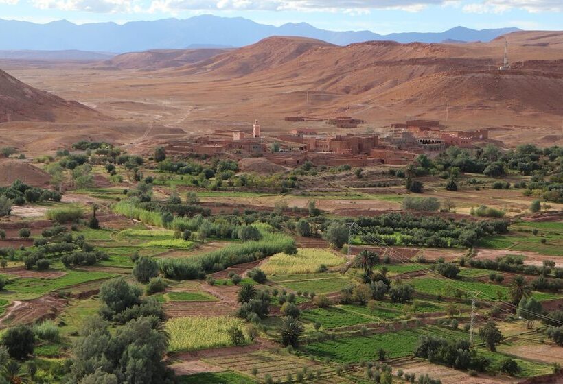 پانسیون Camp Adounia