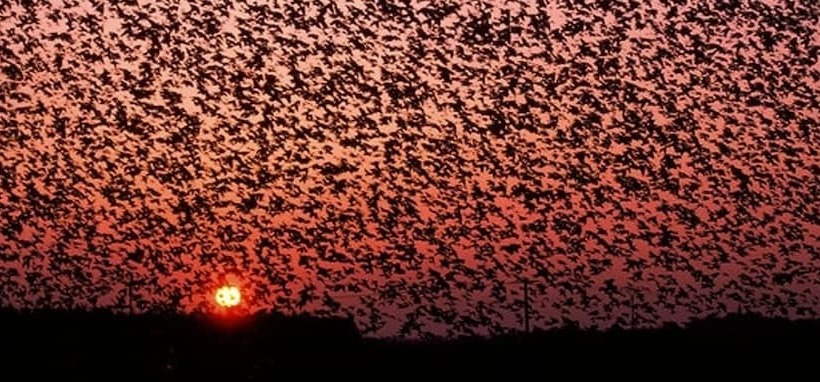 هتل Rudbøl Grænsekro