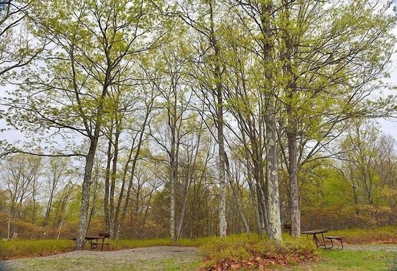 ホテル Timothy Lake South Rv   Campground