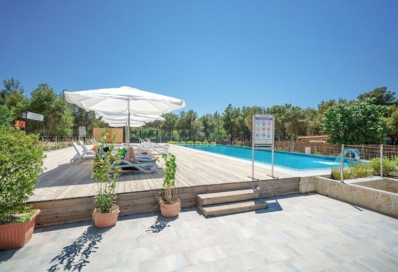 بنسيون Charming Park View Room With Breakfast Included