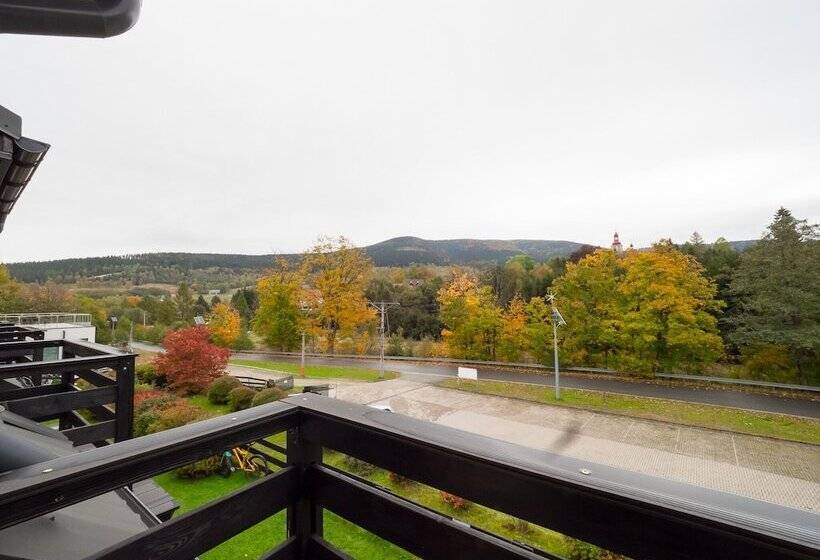 I Apartamenty Pod śnieżnikiem