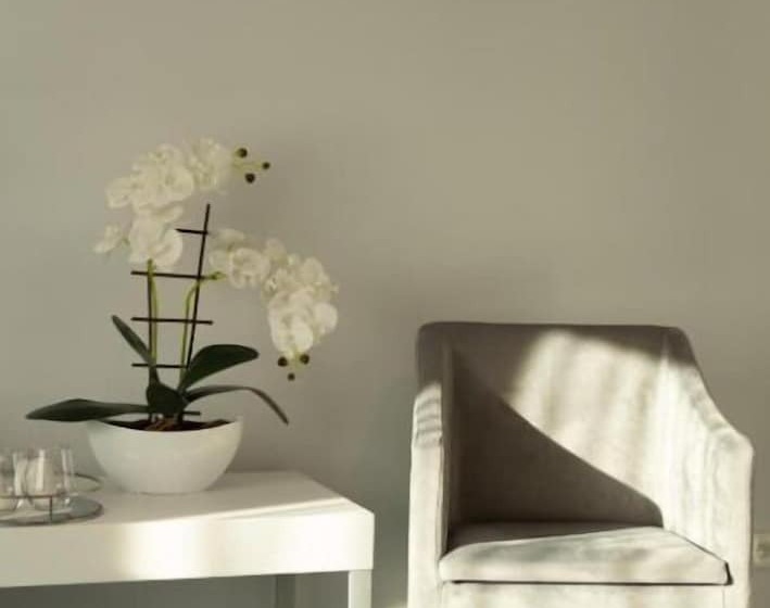 I Apartamenty Pod śnieżnikiem