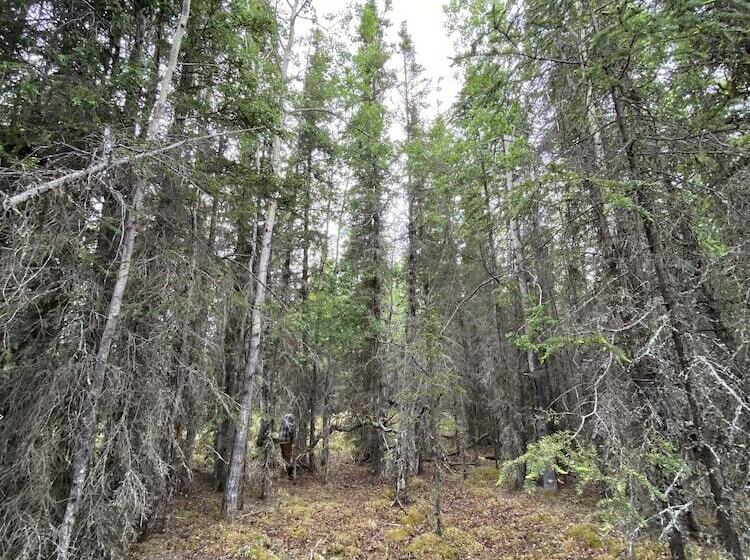 Flippin Crazy Fishing & Lodging