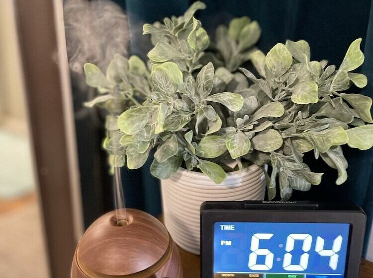 مبيت وإفطار Dream Inn