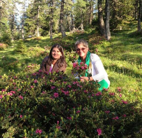 酒店 Gasthof Zur Linde