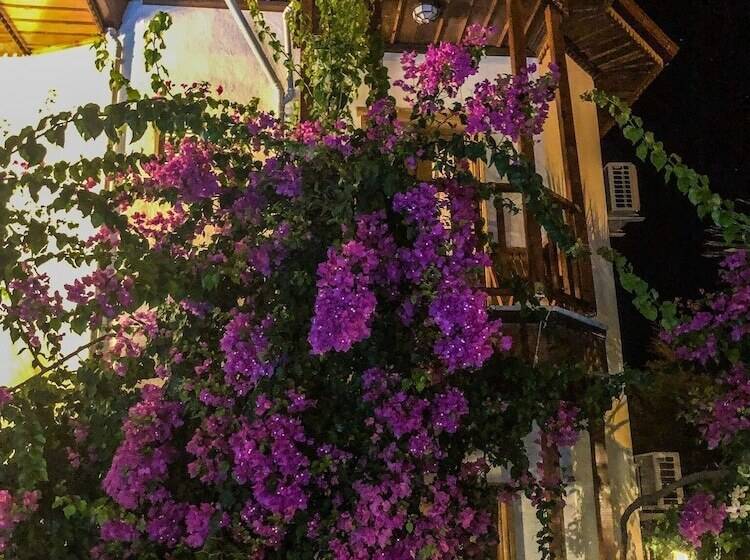 هتل Murat Pasha Mansion