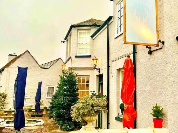 住宿加早餐  White Stag Lodge