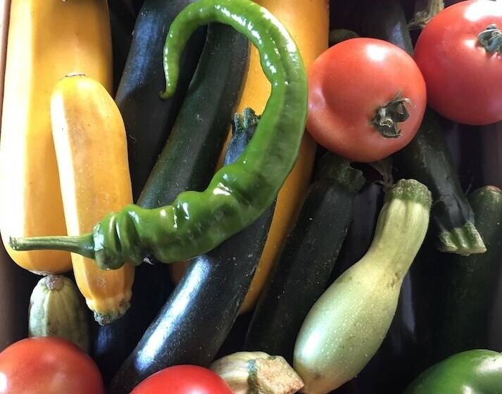 بنسيون Maison D Hôtes Ourdeaux Et Gîte Chez Rouchon