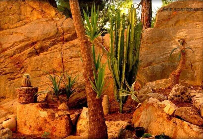 پانسیون Room In Guest Room   Comfy Apartments Next To The Beach