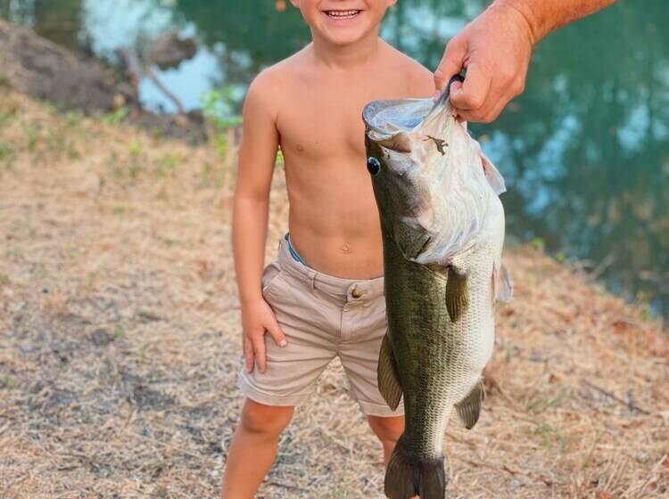 13 Son S Geronimo   Birdhouse Cabin