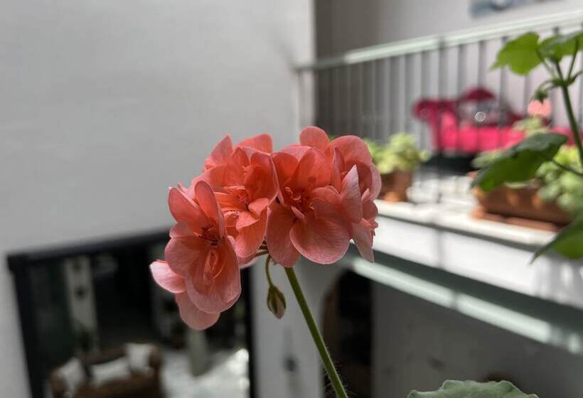 Bed and Breakfast La Gitanilla Alojamiento & Encanto Jerez