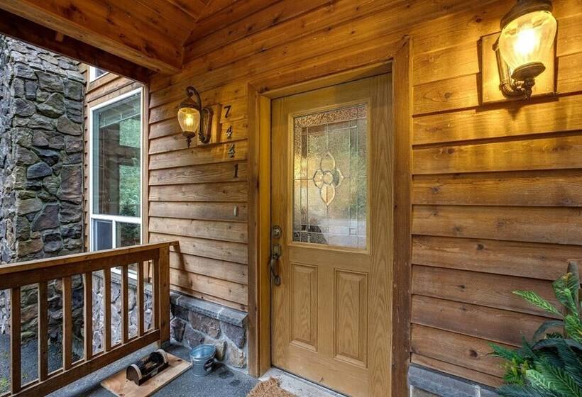 20gs   Wifi   F/p   W/d   Sleeps 6