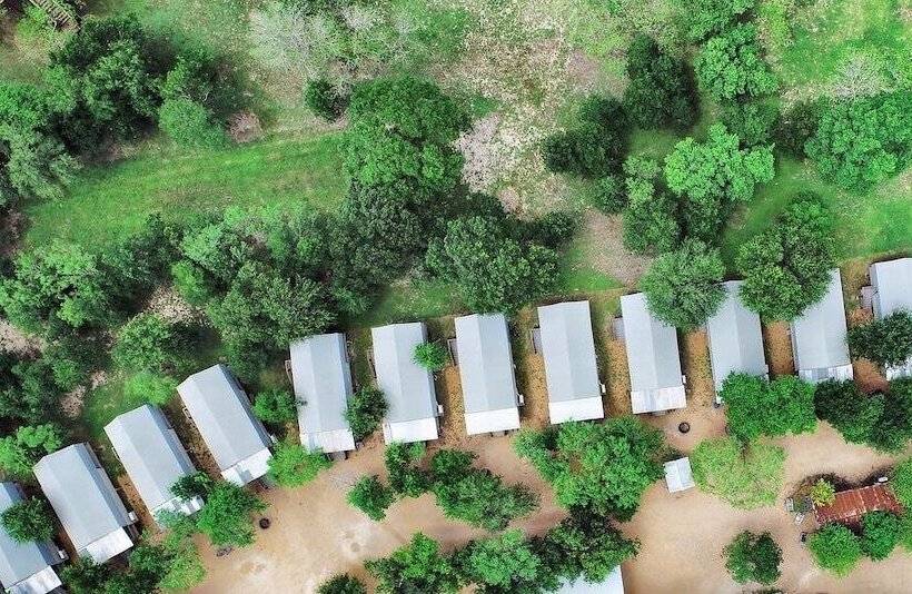 5 Son S Geronimo   Birdhouse Cabin