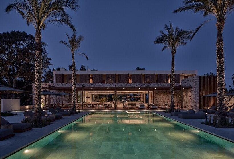 Theros All Suite Hotel   Adults Only