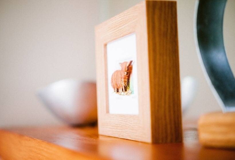 בית מלון כפרי Bright Star Lodge