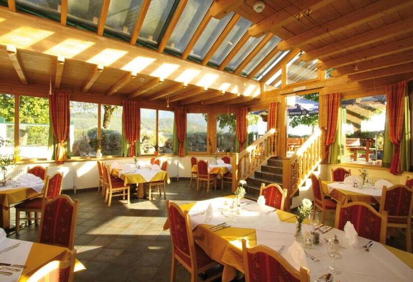 Aktiv Hotel Traube