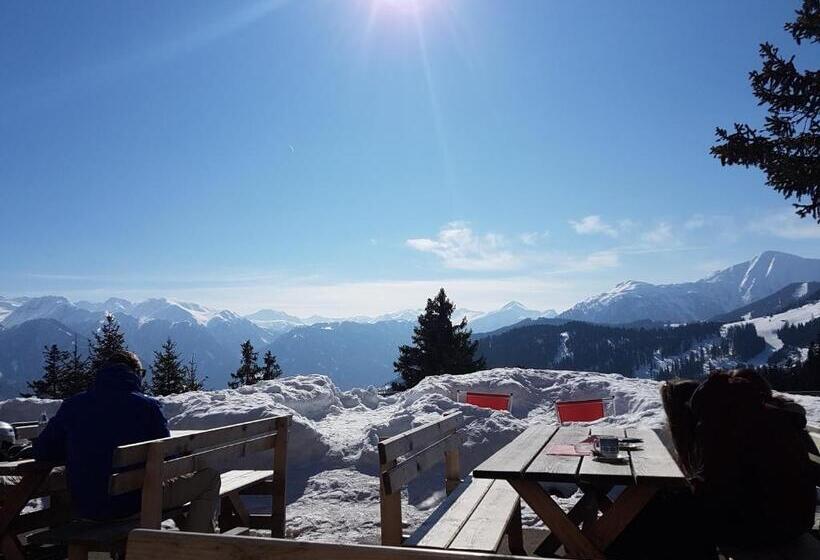 Bed and Breakfast Alpenchalet Almrose