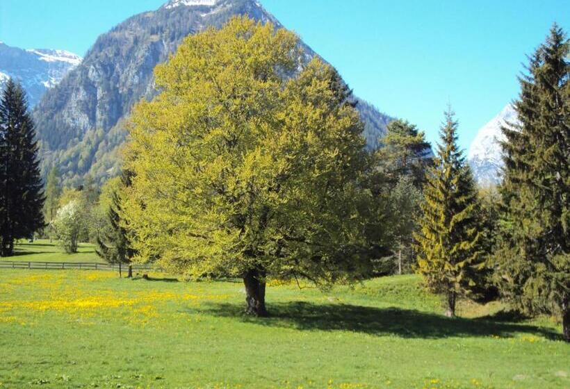 Bergheim