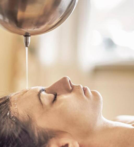 Отель Das Karwendel   Ihr Wellness Zuhause Am Achensee