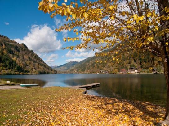 فندق Ferienhaus Hollinger