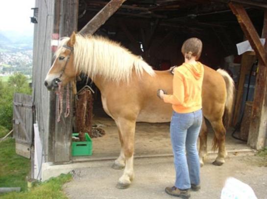 בית מלון כפרי Ferienhof Berger