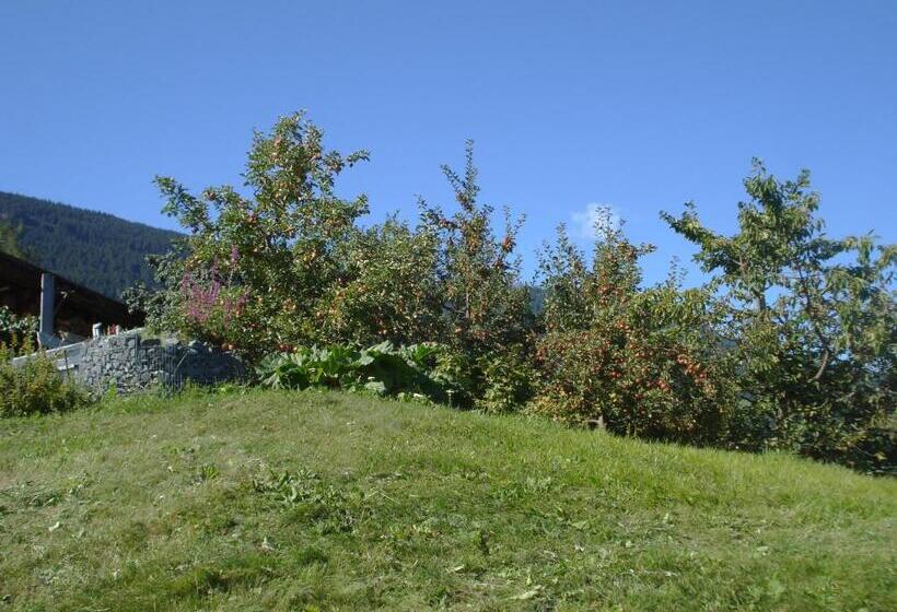 酒店 Haus Venetblick