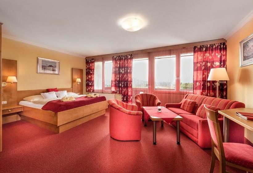 ホテル Lohninger Schober