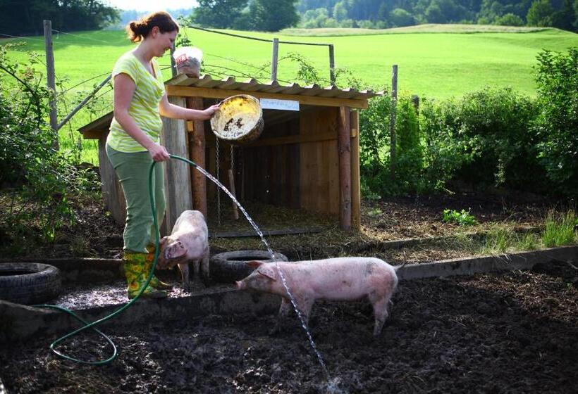ホテル Nussbaumer Am Irrsee
