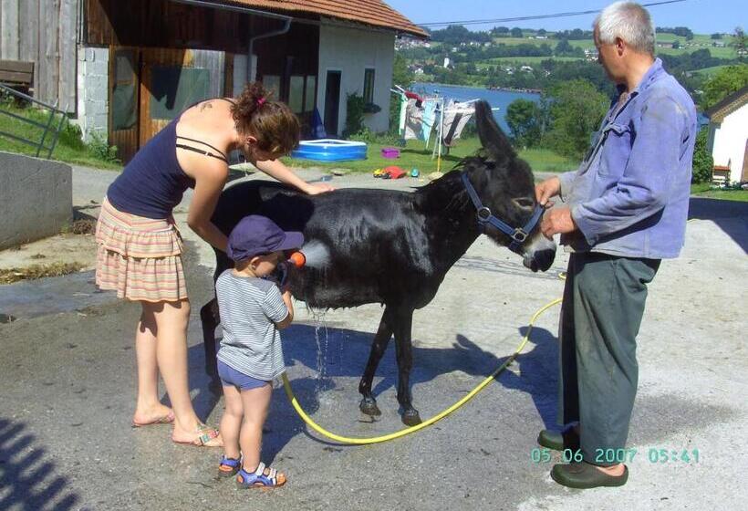 ホテル Nussbaumer Am Irrsee