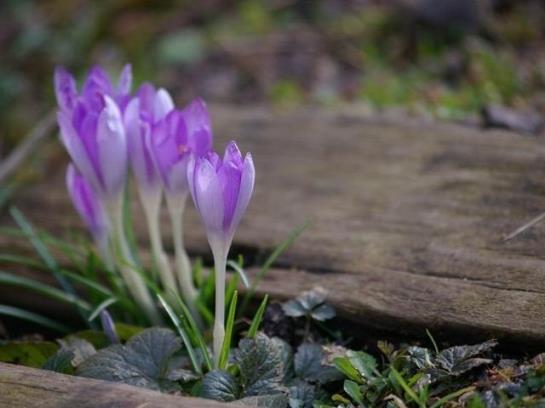 ベッドアンドブレックファースト Pension Winter Am Irrsee