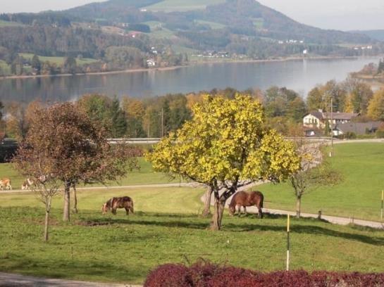 ベッドアンドブレックファースト Pension Winter Am Irrsee