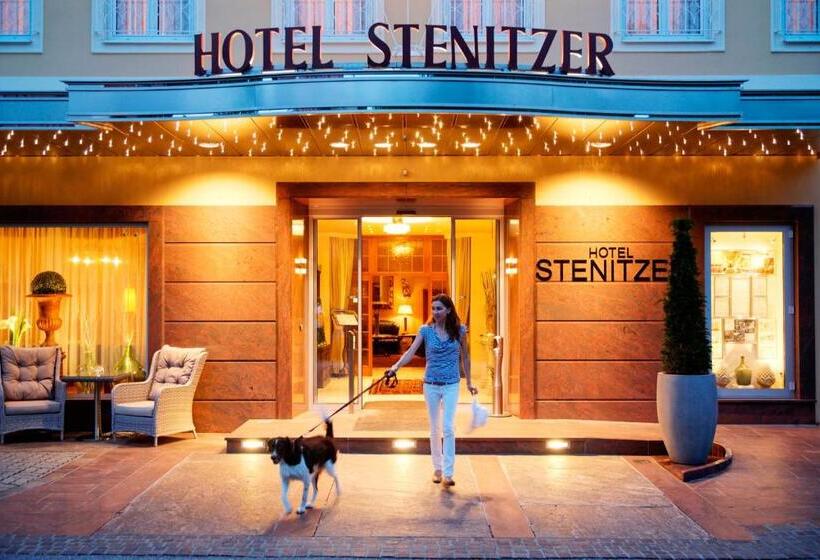 فندق Stenitzer