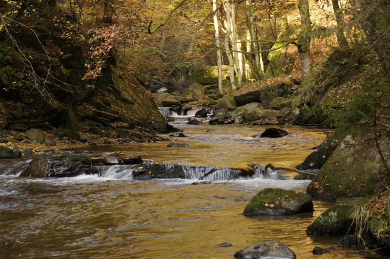 بنسيون Gästehaus Kleindienst