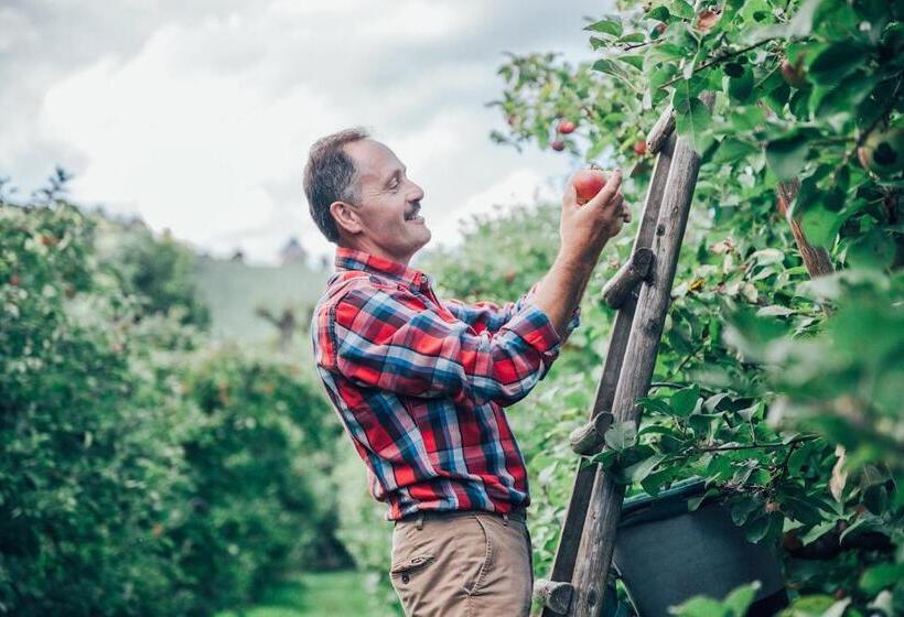 بنسيون Gästehaus Kleindienst
