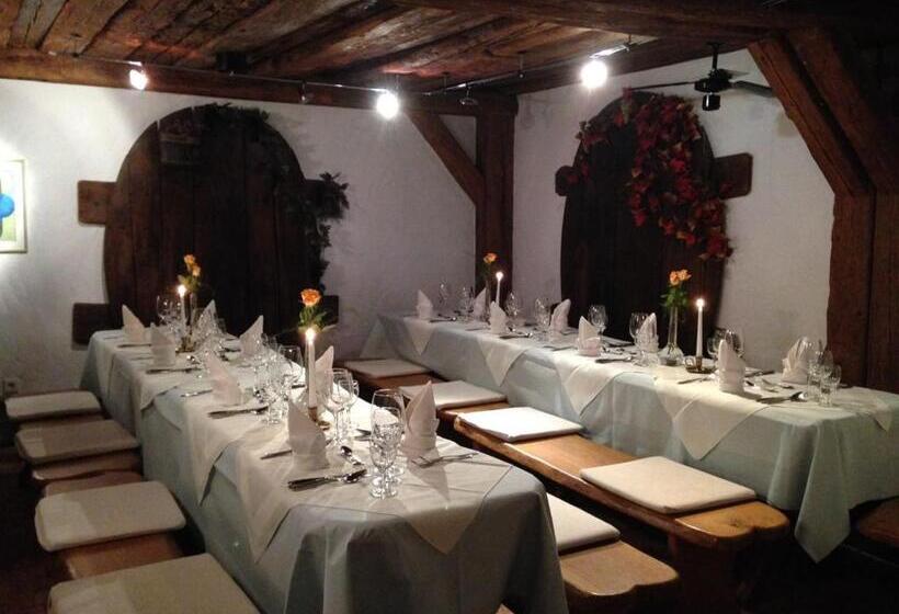 Пансион Wasserstelz Historisches Genusshotel & Restaurant Am Rhein