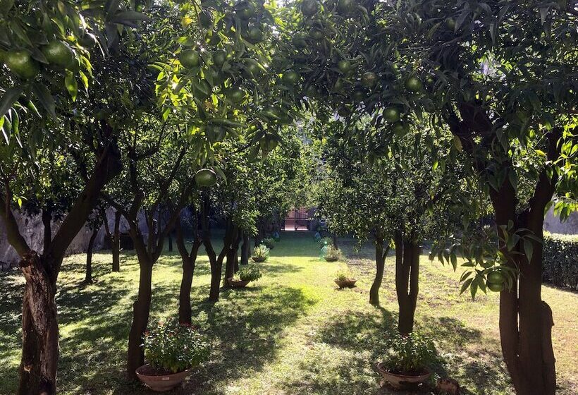 تختخواب و صبحانه Palazzo Benucci   Residenza Di Charme