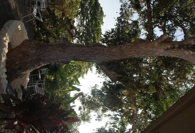 فندق Laguna Mar