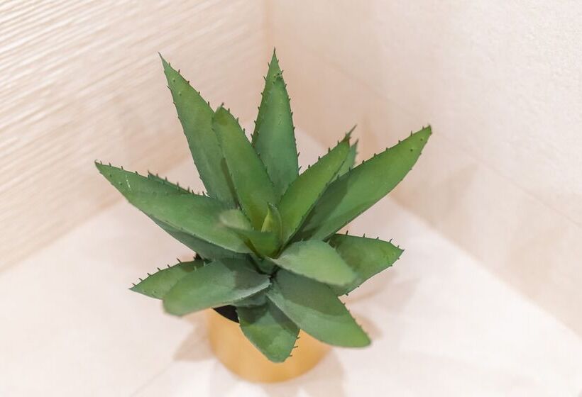 هتل Samstag Split