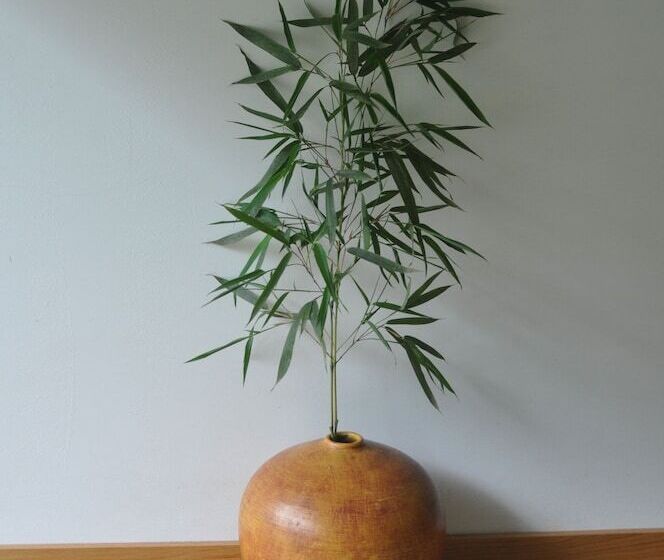 פנסיון Room In B&b   Paradise Is Real At Vale Martinho Zen