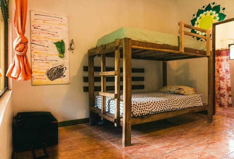 Eco Travel Hostel