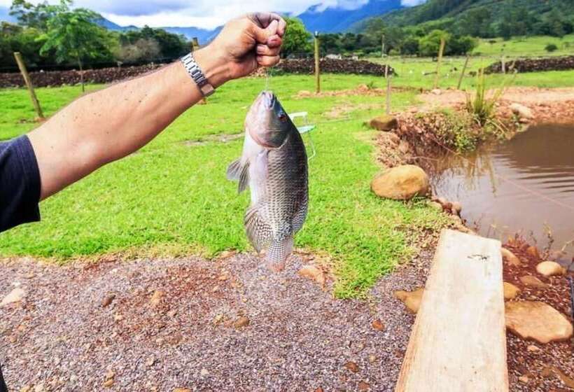 Отель Chalés Vale Do Rio Do Boi
