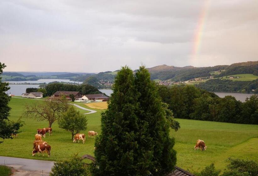 Baby  Und Kinderhof Aicherbauer
